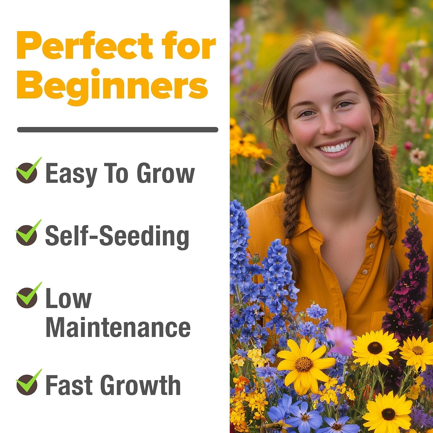 Midwest Heirloom Wildflower Seeds Mix 65,000+ Perennial Flowers Heirloom Seed