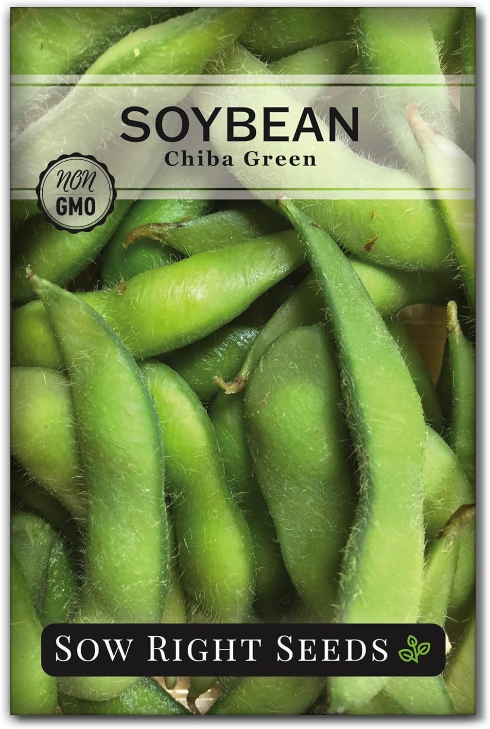 Sustainable Chiba Green Soybean Seeds – Beautiful Packet for Gardener’s Gift