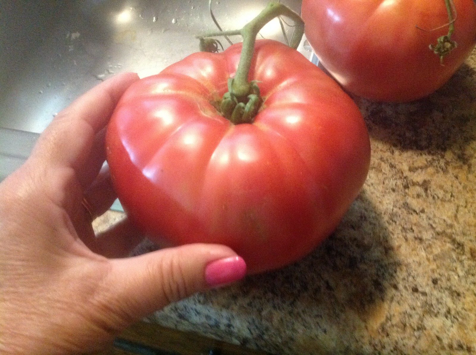 HUGE JUMBO Heirloom Tomato Seeds – Awesome Polish Beefsteak USA 25+ ct seeds