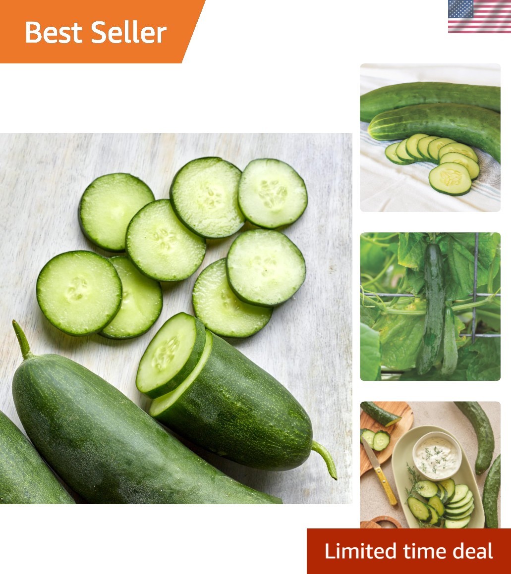 Sweet Success Non-GMO Slicing Cucumber Seeds – 20 Organic Seeds for Home Gardens