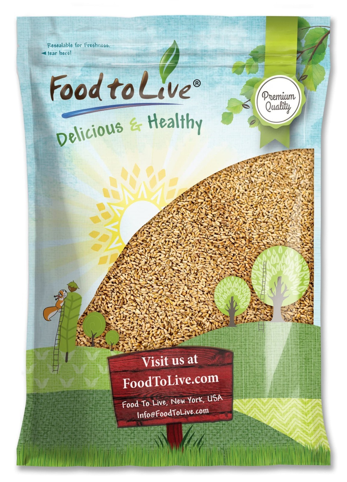 Hard Red Wheat Berries 10 lbs – Sprouting Seeds for Wheatgrass, Raw, Vegan, Bulk