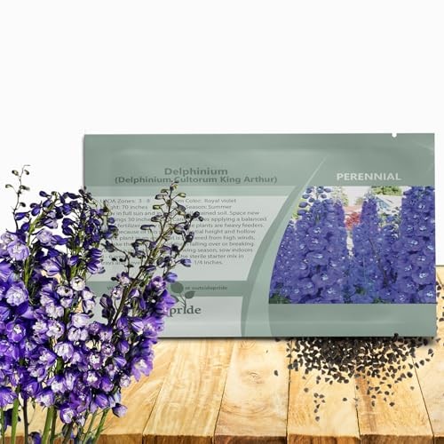 King Arthur Delphinium Seeds – 2000 Pcs Perennial, Self-Seeding, 1000 Seeds