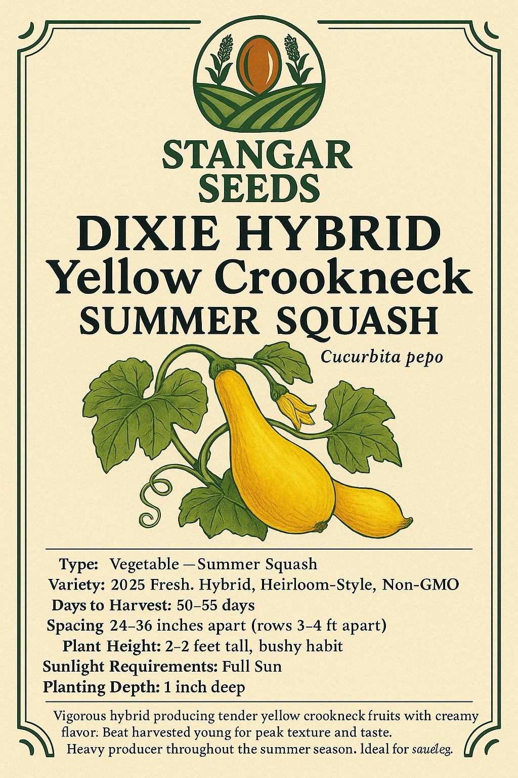 Dixie Hybrid Yellow Crookneck Summer Squash USA 2026 Fresh Heirloom