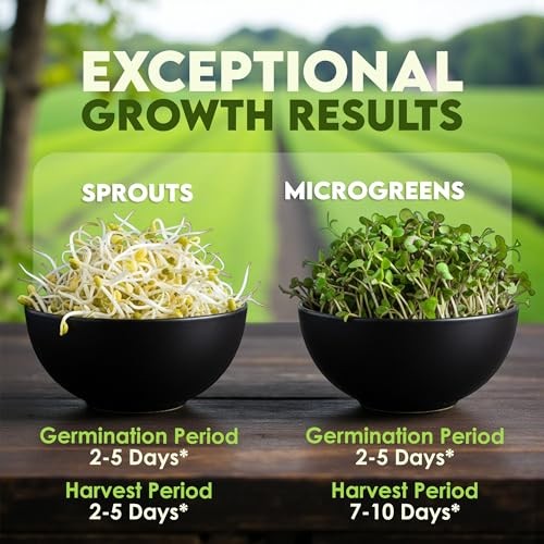 Nature Jim’s Organic Broccoli Sprouting Seeds – Non-GMO, Rich in Sulforaphane,