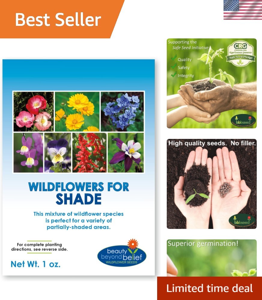 High Quality Partial Shade Wildflower Seeds – Attract Pollinators Year Round
