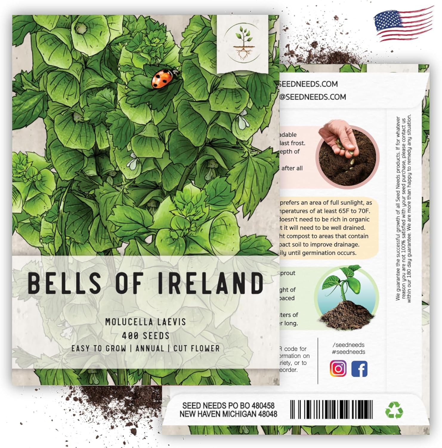 Bells of Ireland Seeds to Plant Green Annual Flowers 2 Packs