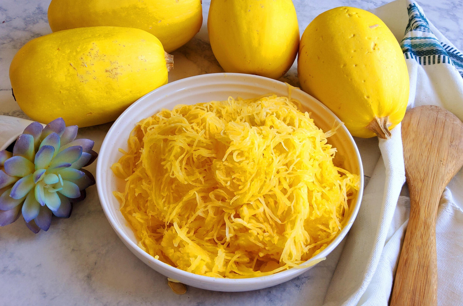 Spaghetti Squash Seeds (20) / ORGANIC / FLORIDA GROWN