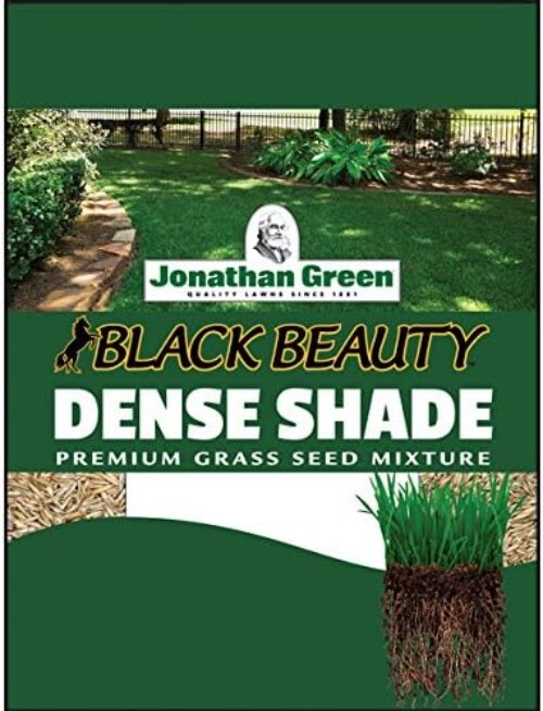 3 lb Superior Shade Grass Seed – Ideal for Low Light Areas and Insect Resistance