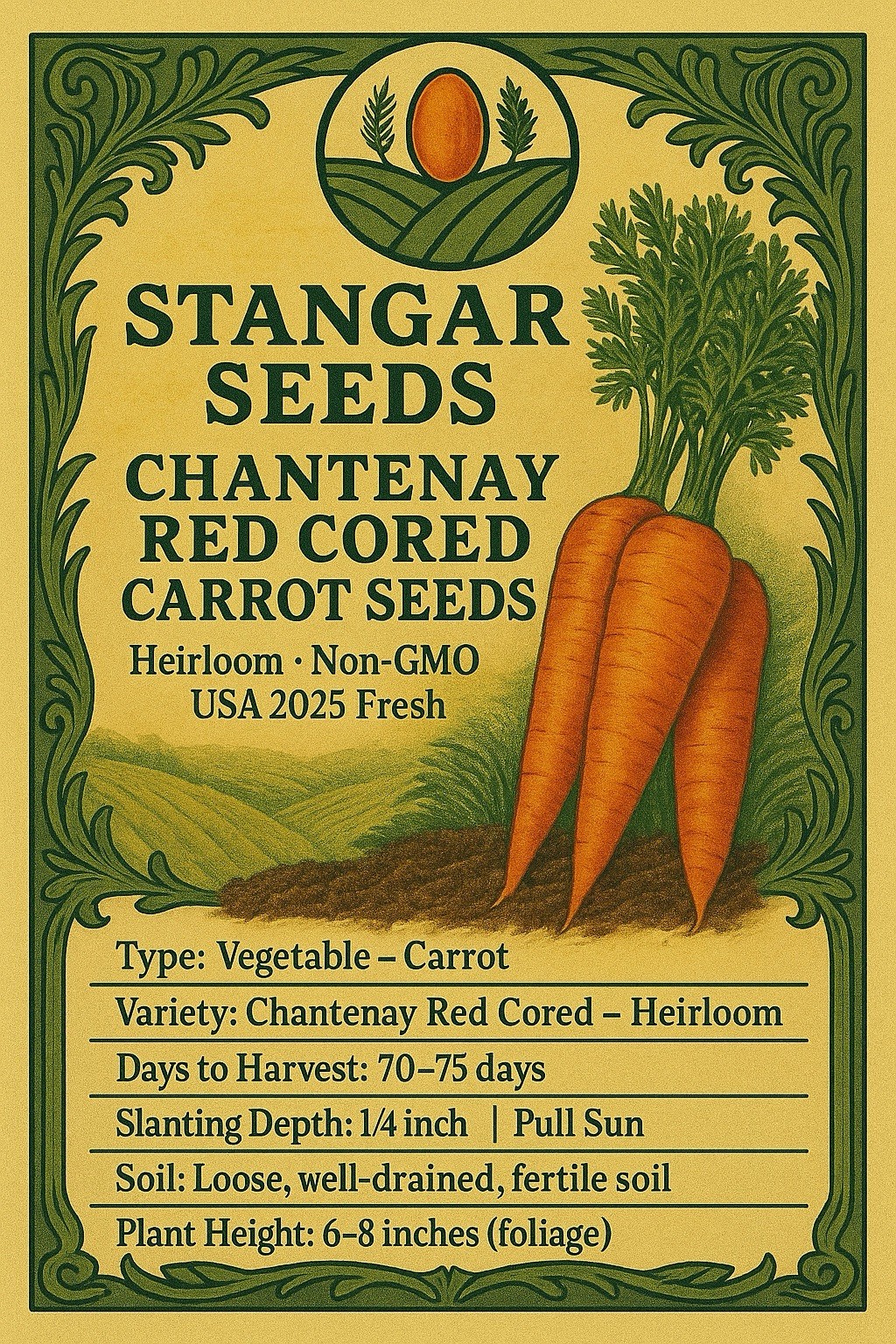 Chantenay Red Cored Carrot Seeds Non-GMO, 1000+ Count, Garden Vegetable USA