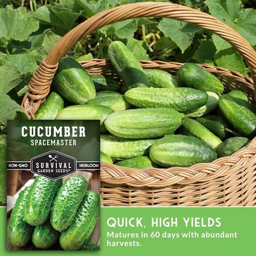 Spacemaster Cucumber Seeds for Planting | Compact Heirloom Non-GMO Variety 1