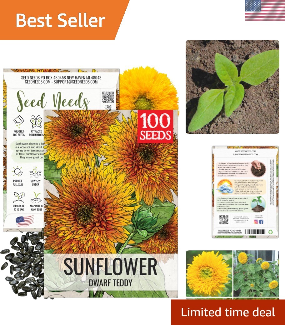 Compact Dwarf Sungold Sunflowers – 1 Pack of Heirloom Seeds for Small Gardens