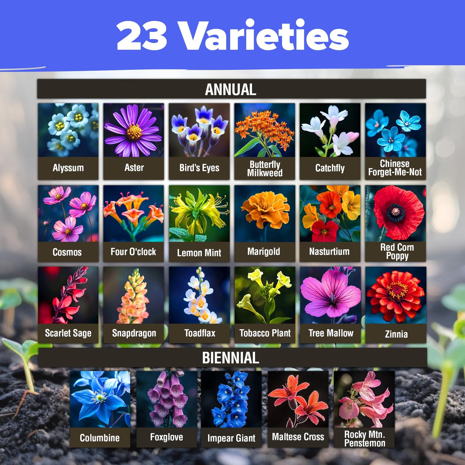 Bulk Non-GMO Wildflower Seeds – 134,000+ Native Seeds for Butterfly Gardens
