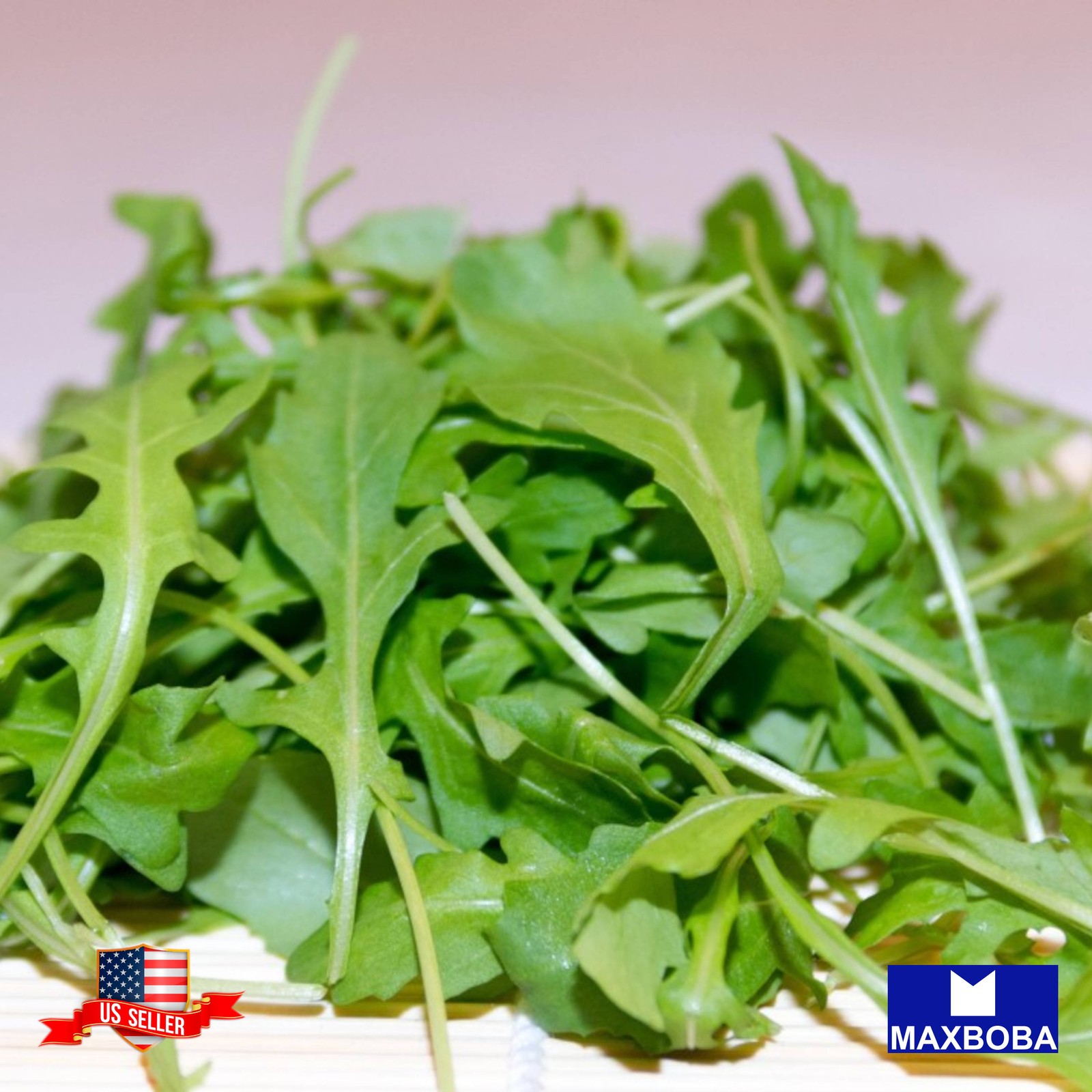 250 Astro Arugula Seeds Heirloom-Non-GMO BTGO 75% OFF