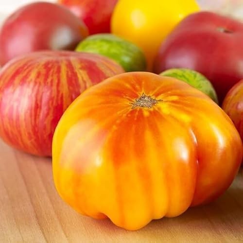 Rainbow Cherry Tomato Seeds – 20 Seeds – Stunning Colors and Delicious