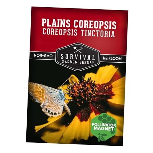 – Plains Coreopsis Seeds for Planting | Native Wildflower Coreopsis 1