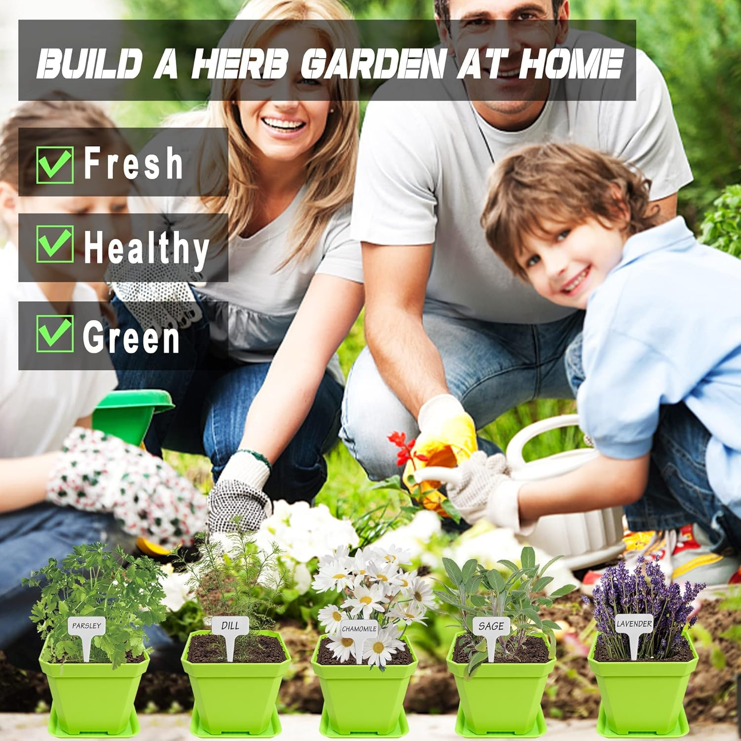 10 Herb Seeds Garden Starter Grow Kit with Green Pots, Markers, Soil Discs, Wate
