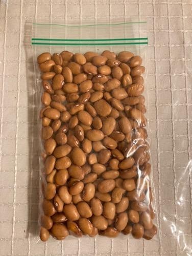 Semillas De frijol amarillo criollo +200