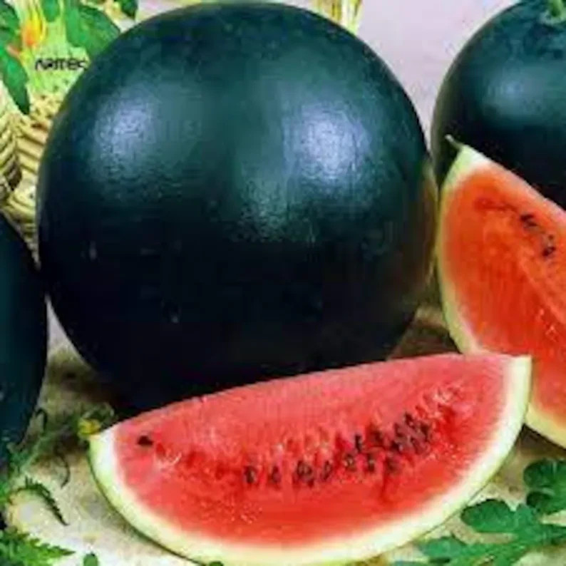 50 Black Diamond Watermelon Seeds. Organic. USA Seeds. Ships free