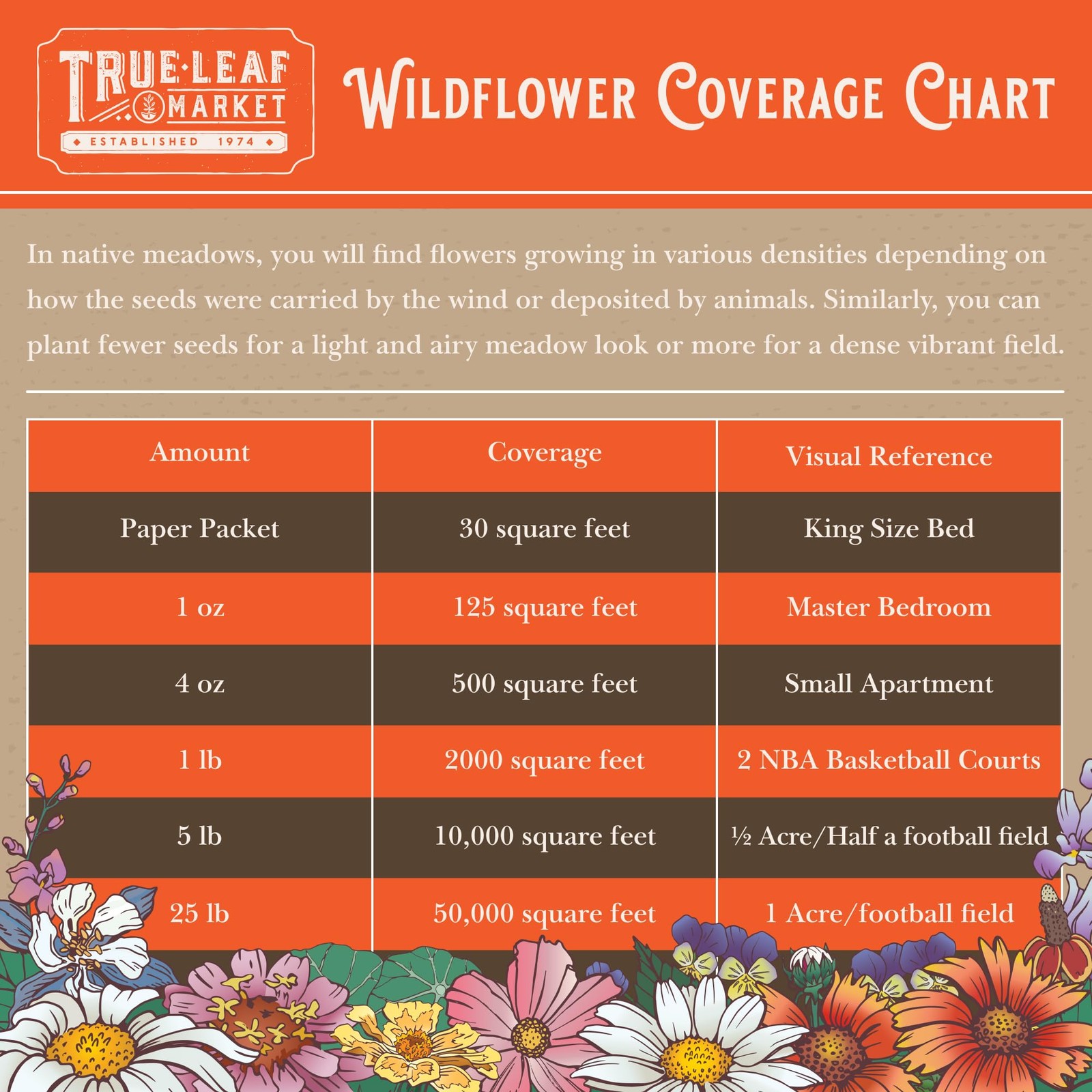 Wildflower Seeds Bulk, 2 Oz. 80,000+ Seeds – Save the Bees Mix with 19 NonGMO…
