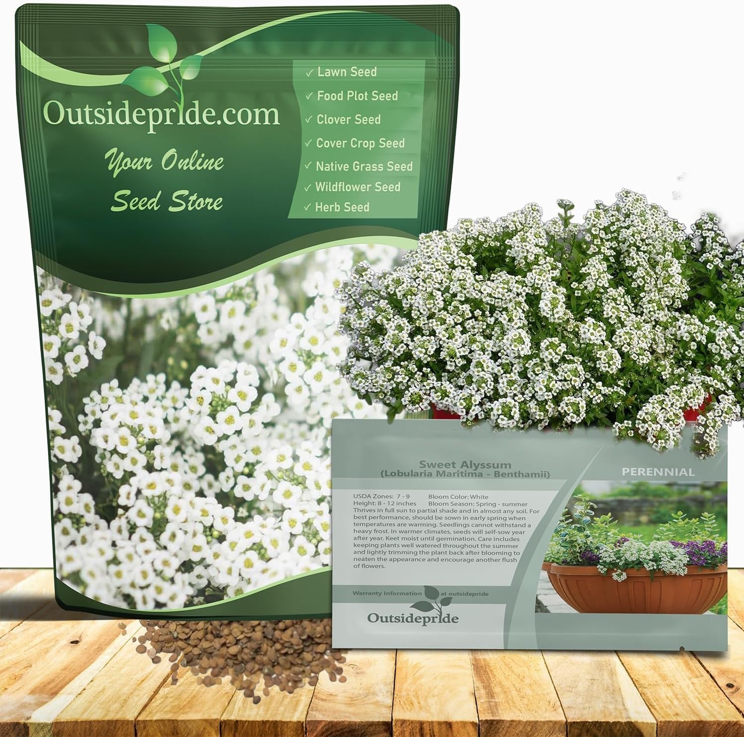 Perennial Sweet Alyssum Seeds – 1 lb. White Lobularia Maritima Seeds for Grou…
