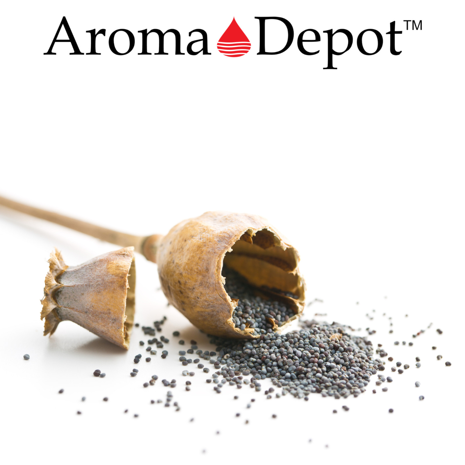 Whole Poppy Seeds Bulk Culinary for Baking or Cake Dessing. Semilla de Amapola