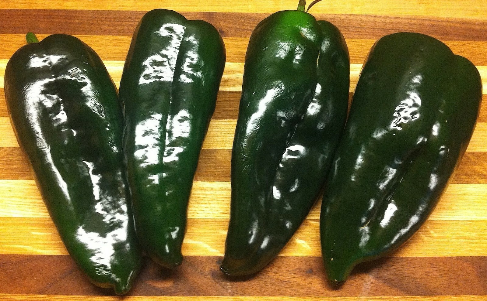 50+POBLANO ANCHO HOT PEPPER Seeds Organic Summer Vegetable Garden Container
