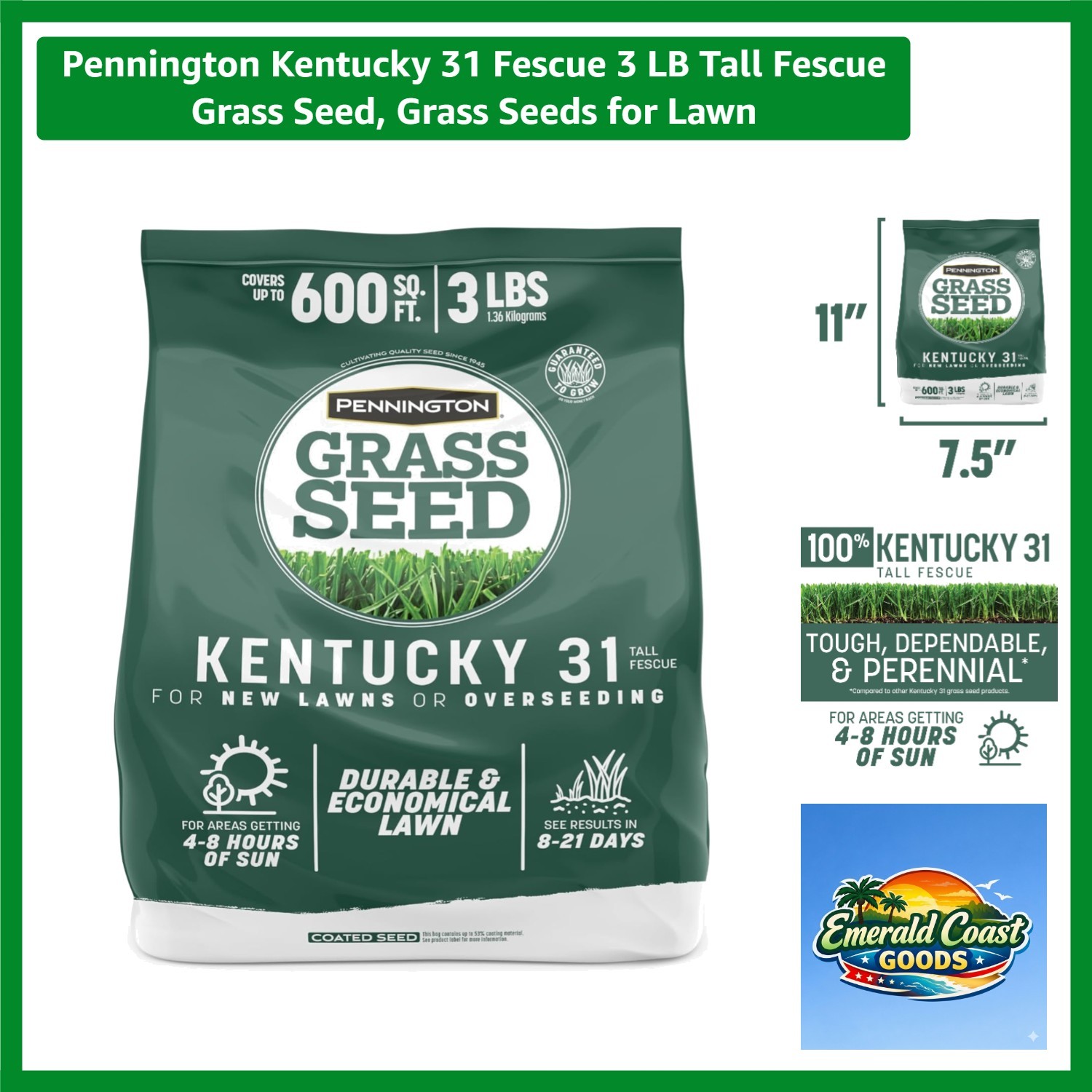 Durable Kentucky 31 Tall Fescue Grass Seed – 3 LB Fast-Growing Drought Resistant