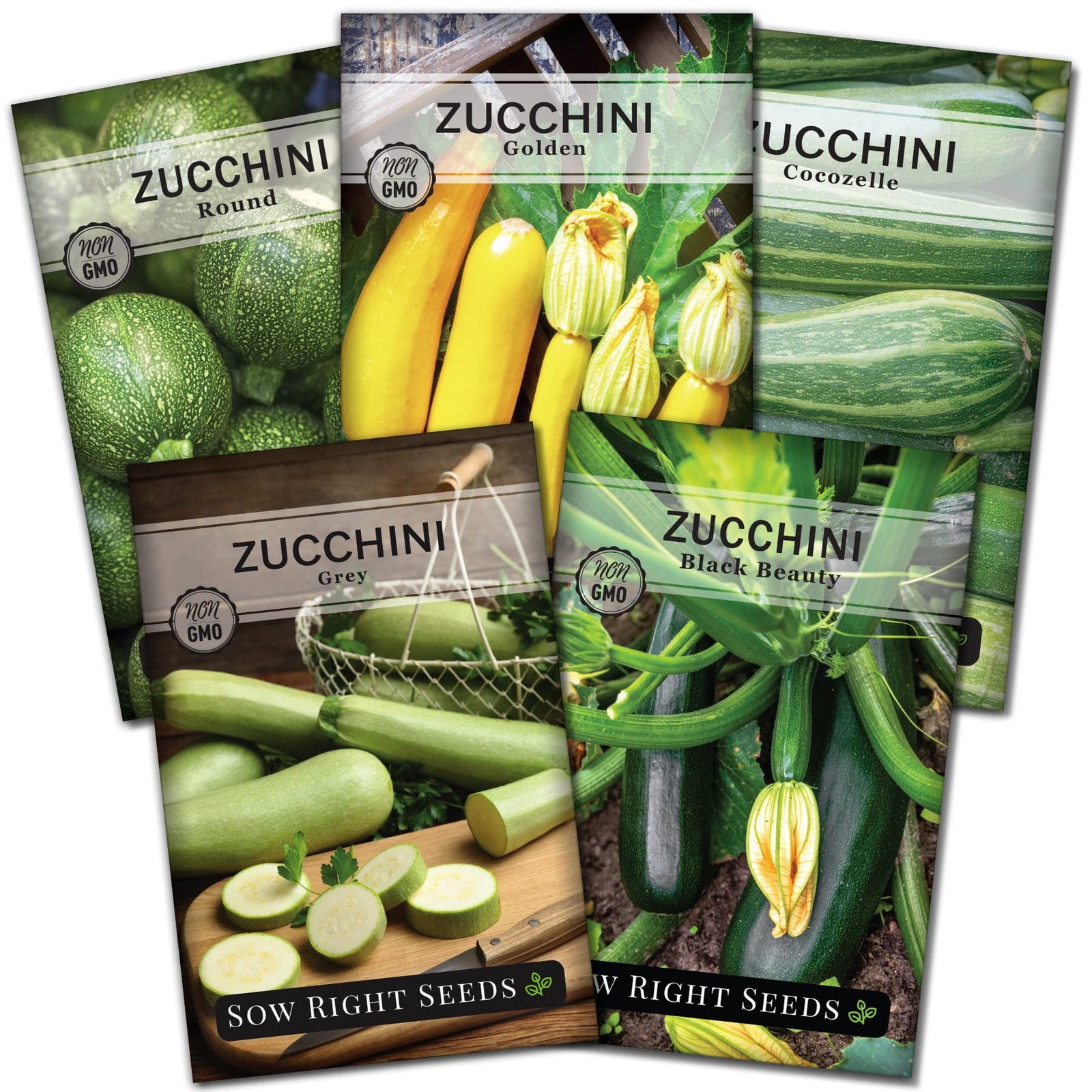 Zucchini Squash Seed Collection for Planting Black Beauty, Grey, Round, Gol…