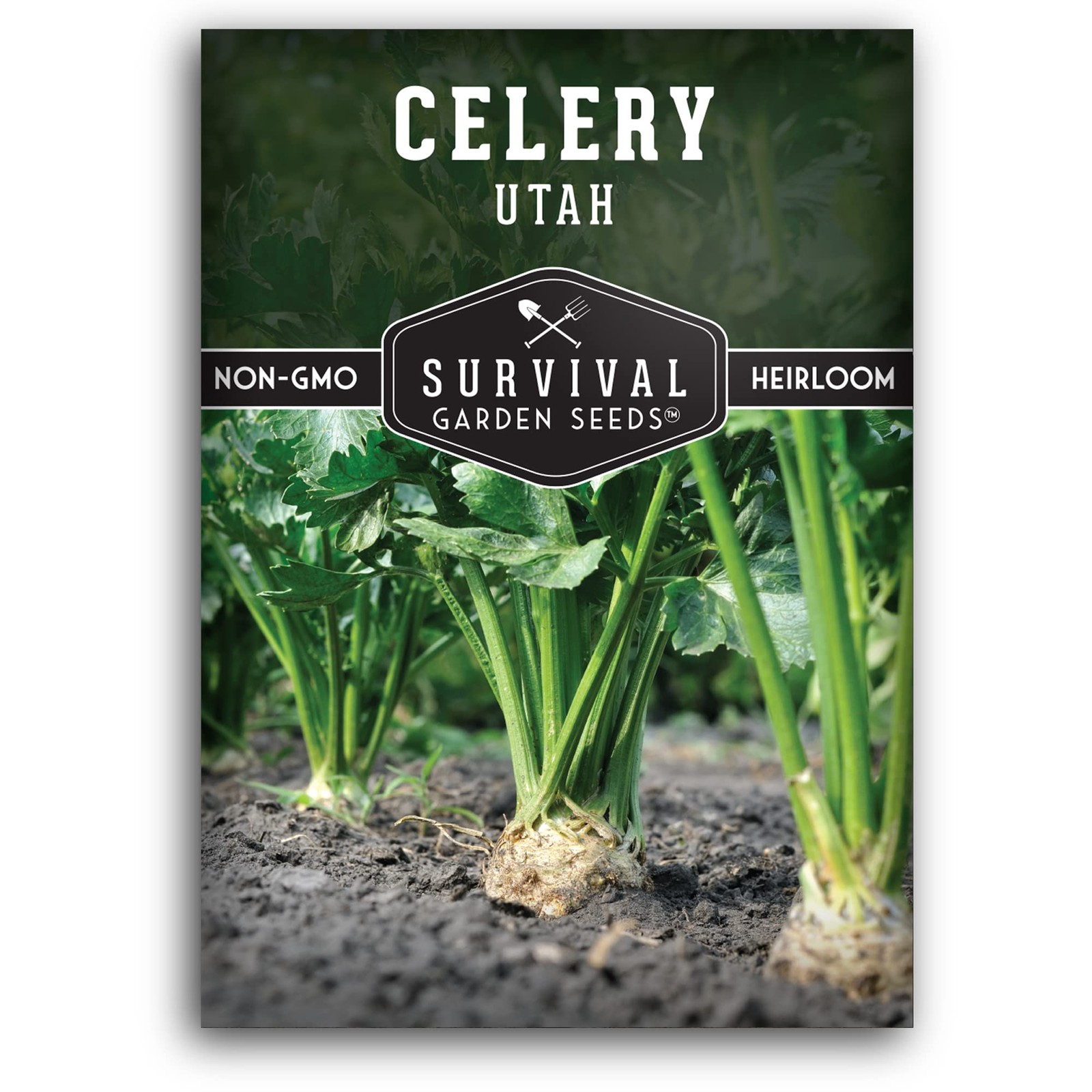 Celery Seeds for Planting – AAS Winning Tall Utah Non-GMO – Cool Weather Crop