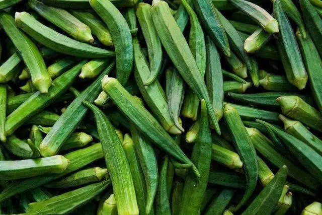 15+ Clemson Okra Seeds, Lady’s Fingers seeds, Dau Bap seeds