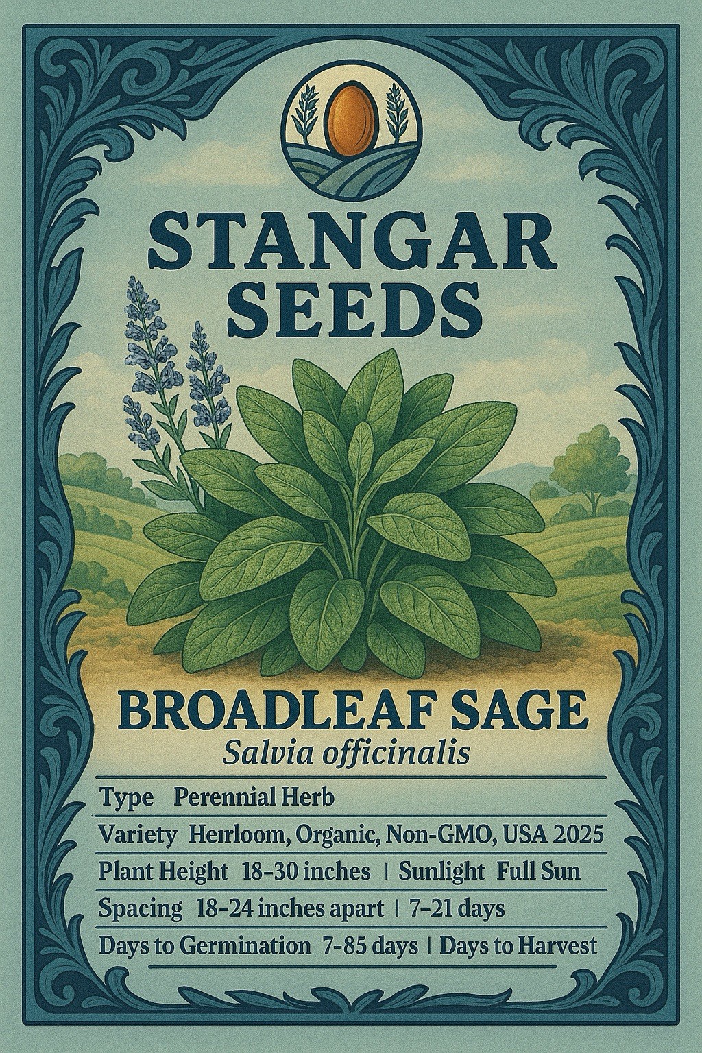 Broadleaf Sage Seeds Kitchen Sage, Common Sage, Garden Sage, Perennial Herb 2026