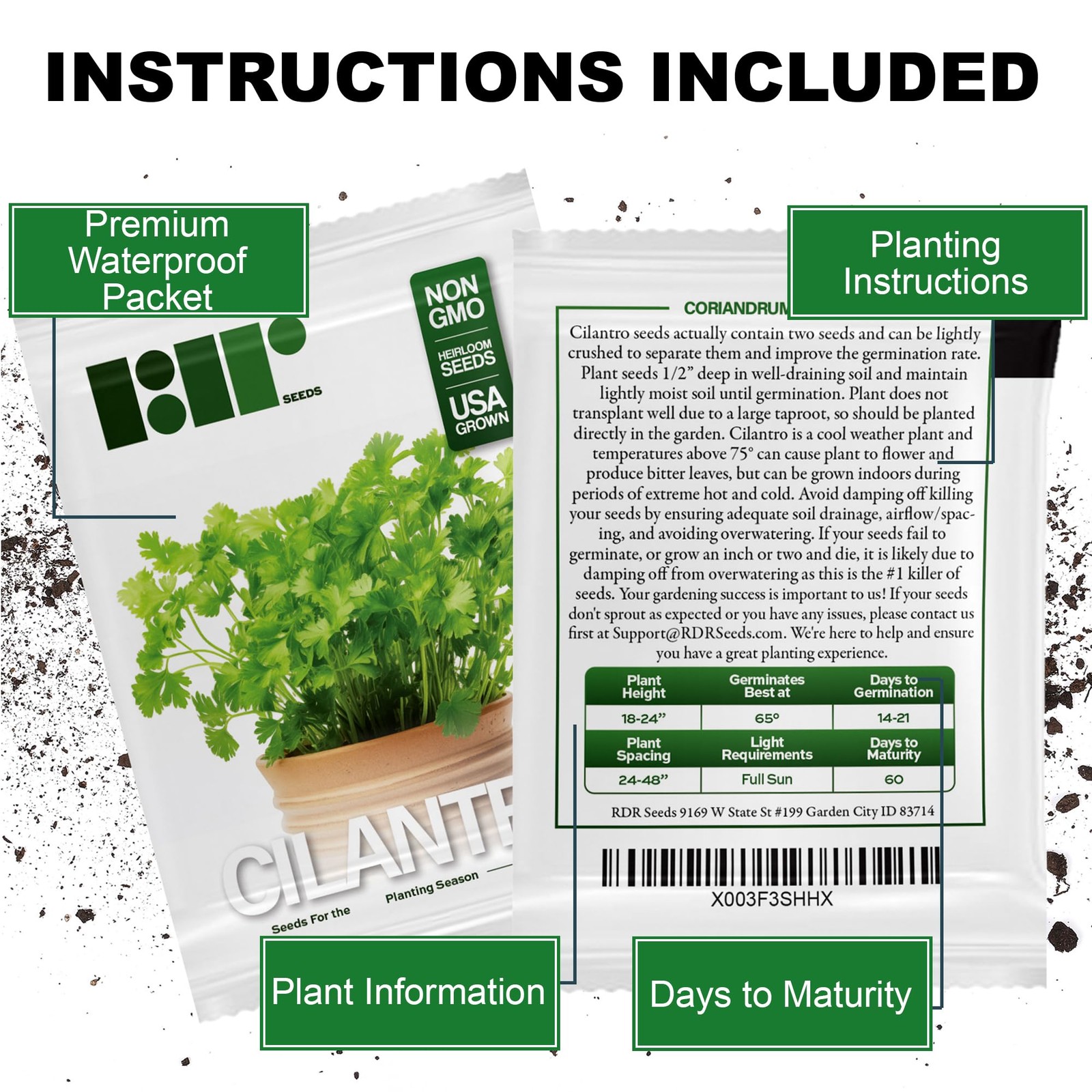 500+ Cilantro Seeds for Planting – Heirloom Non-GMO USA Grown Herb Seeds in P…