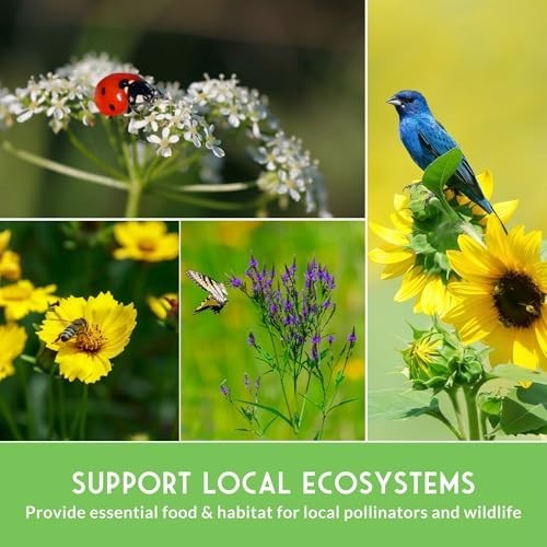 Wildflower Seeds Variety Pack – 24 Non-GMO Perennial & Annual Flowers for Pollin