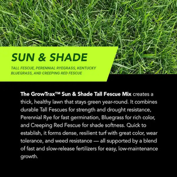 50 sq. ft. Quick Fix Year Round Green Mixture