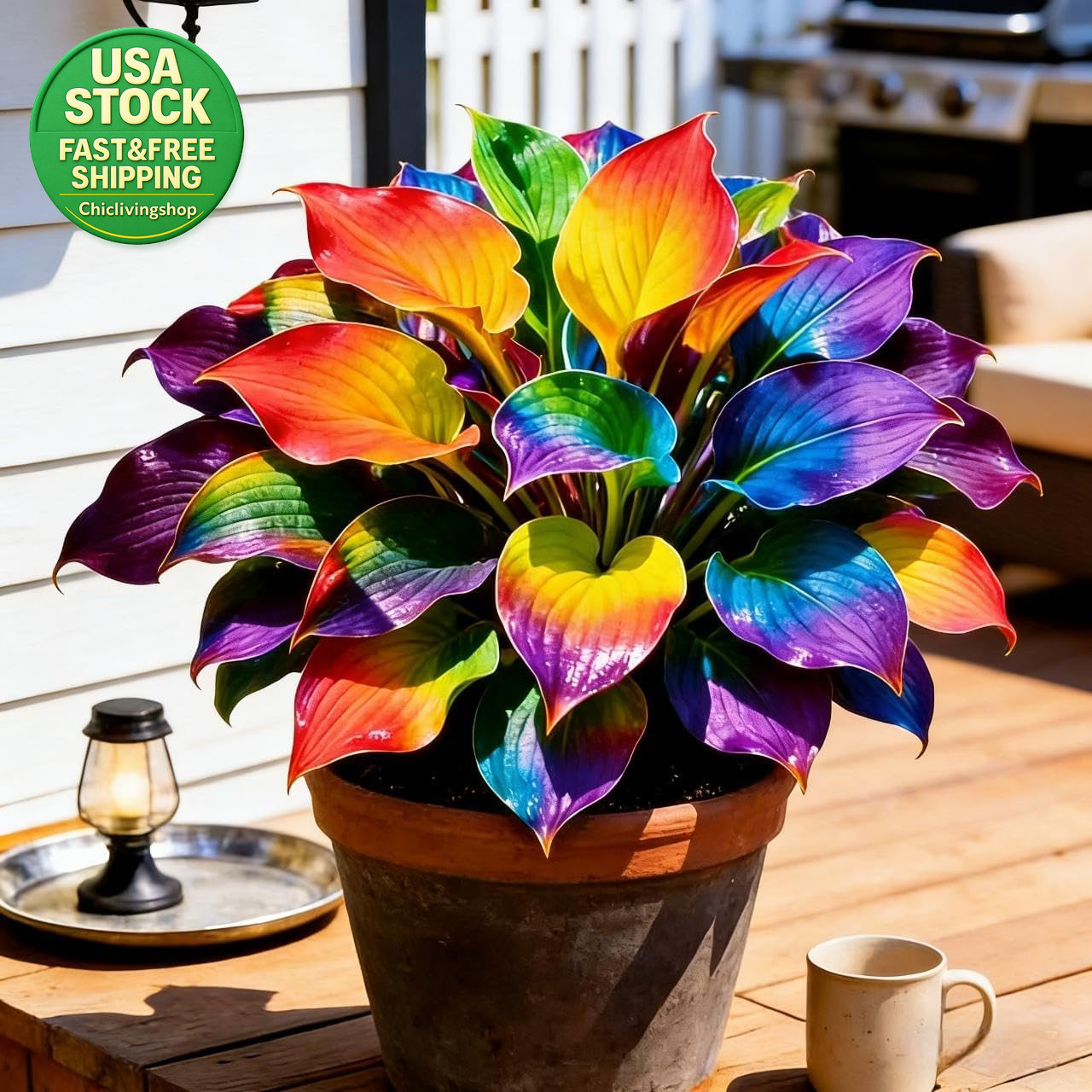 200 Hosta Seeds Variegated Foliage Perennial Plantain Lily Shade Garden