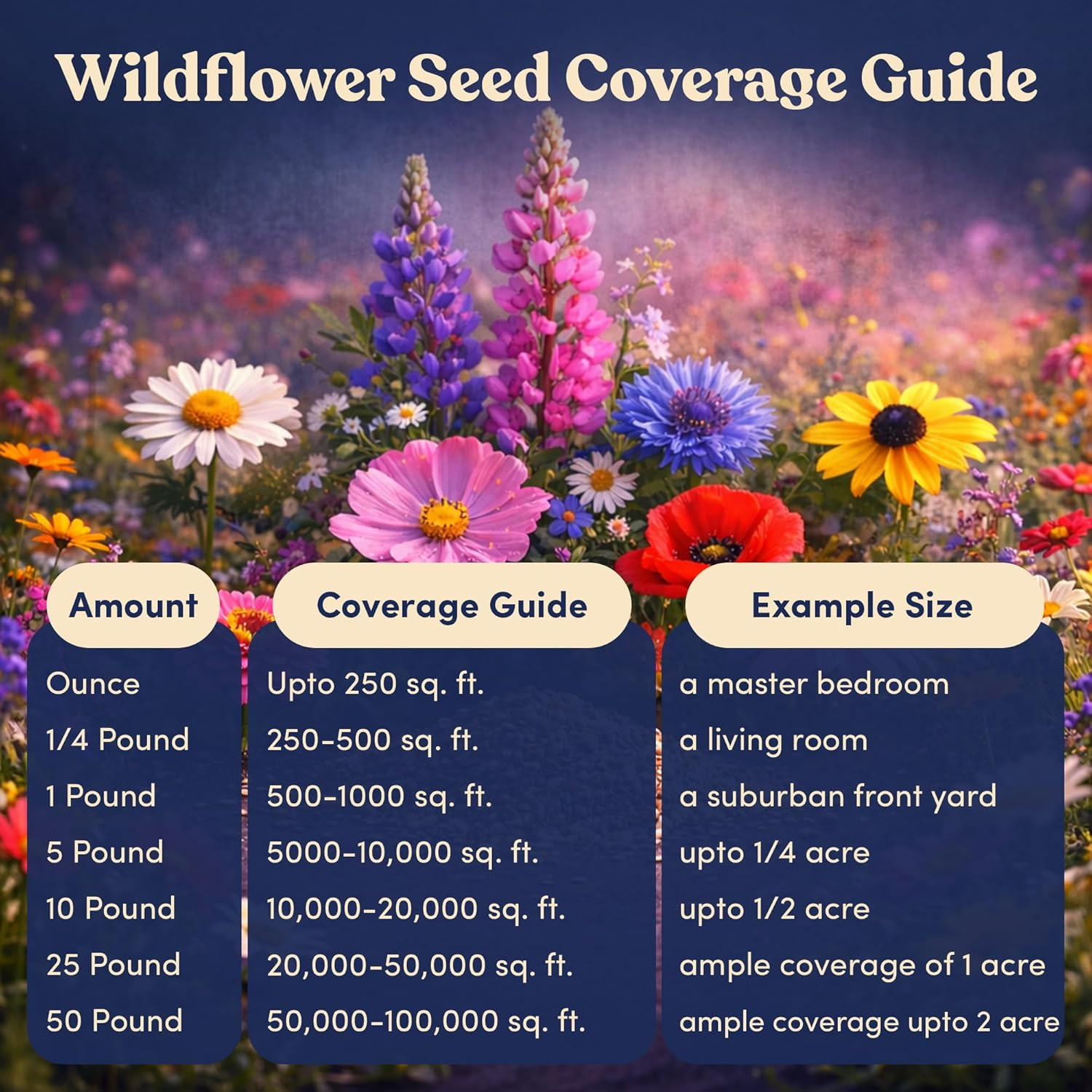 Bulk Wildflower Seed Shaker – Perennial Flower Seeds Mix to Plant Anywhere, by G