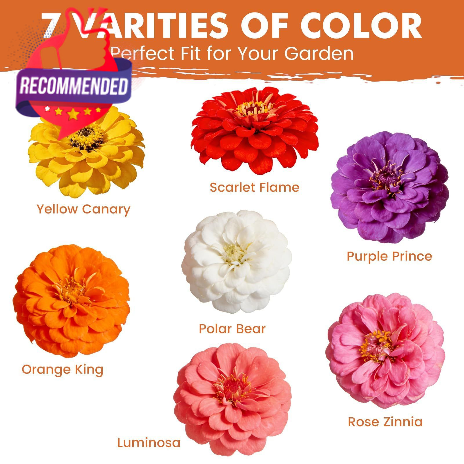 Zinnia Seeds Mixed Color 2026 Planting – Bulk Multi‑Color Flower Pack