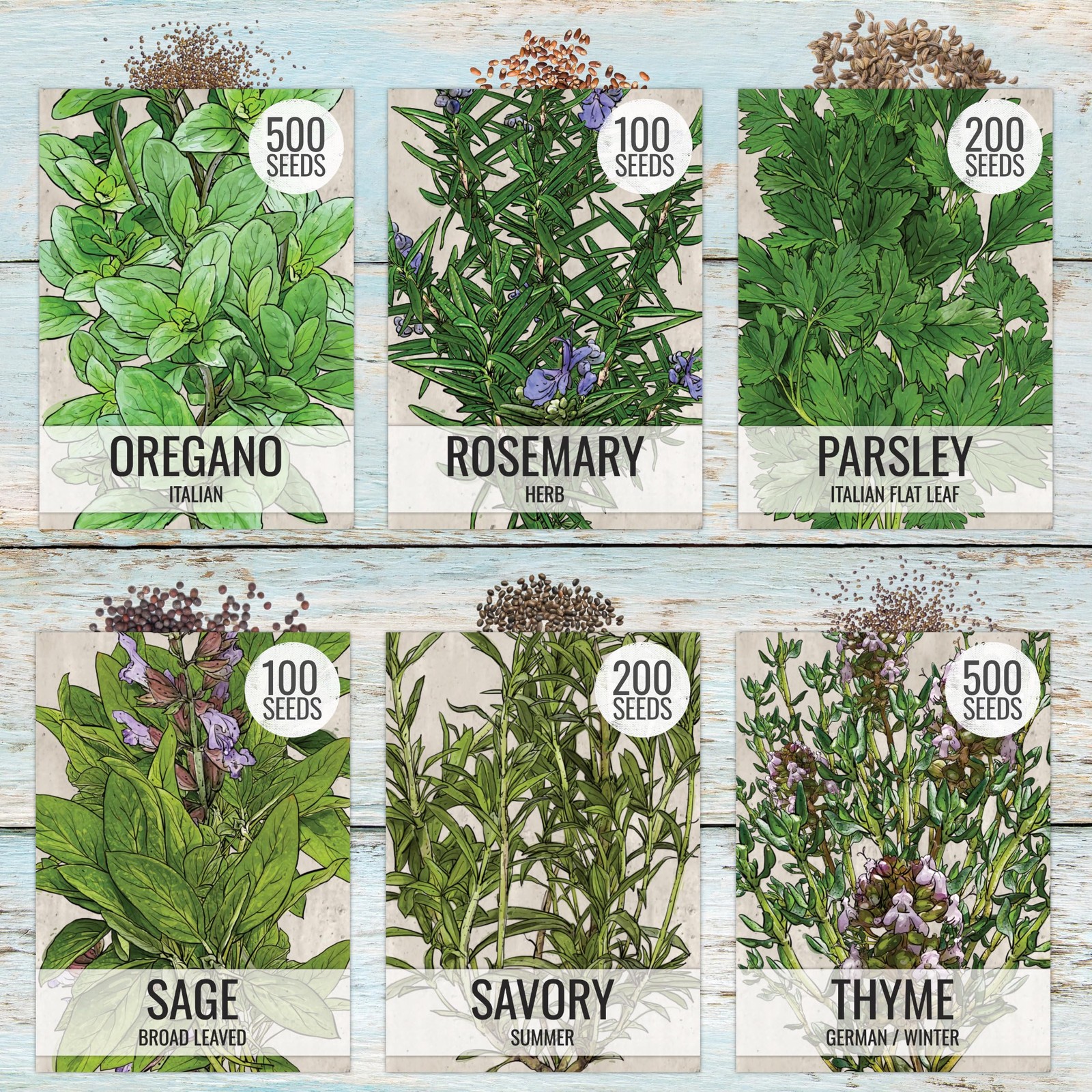 Seed Needs Herb Seeds Variety Pack Culinary Herb Collection 12 Individual Pac…