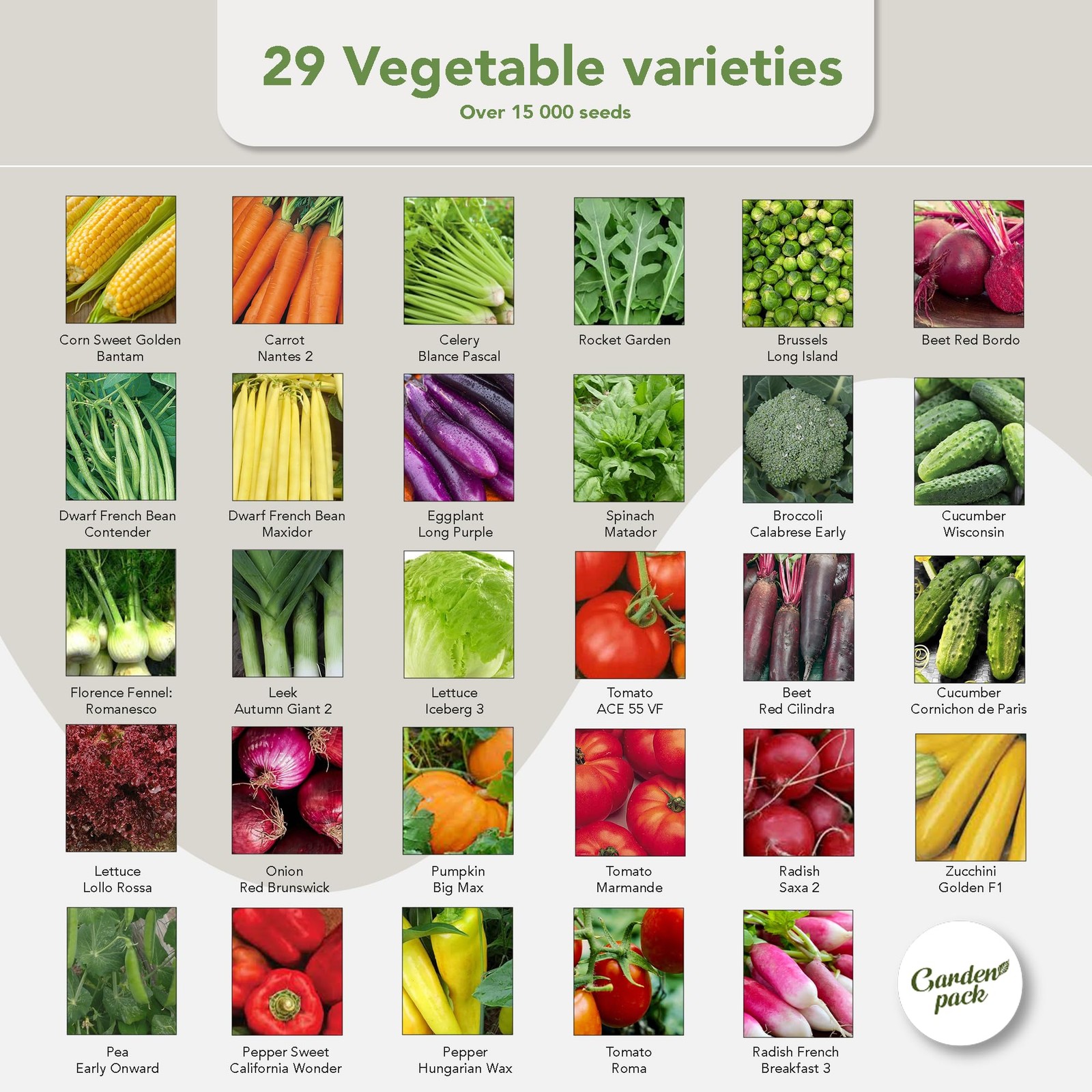 Vegetable Seeds Pouch – 50 Varieties of Vegetable, Herb & Flower Seeds for Pl…