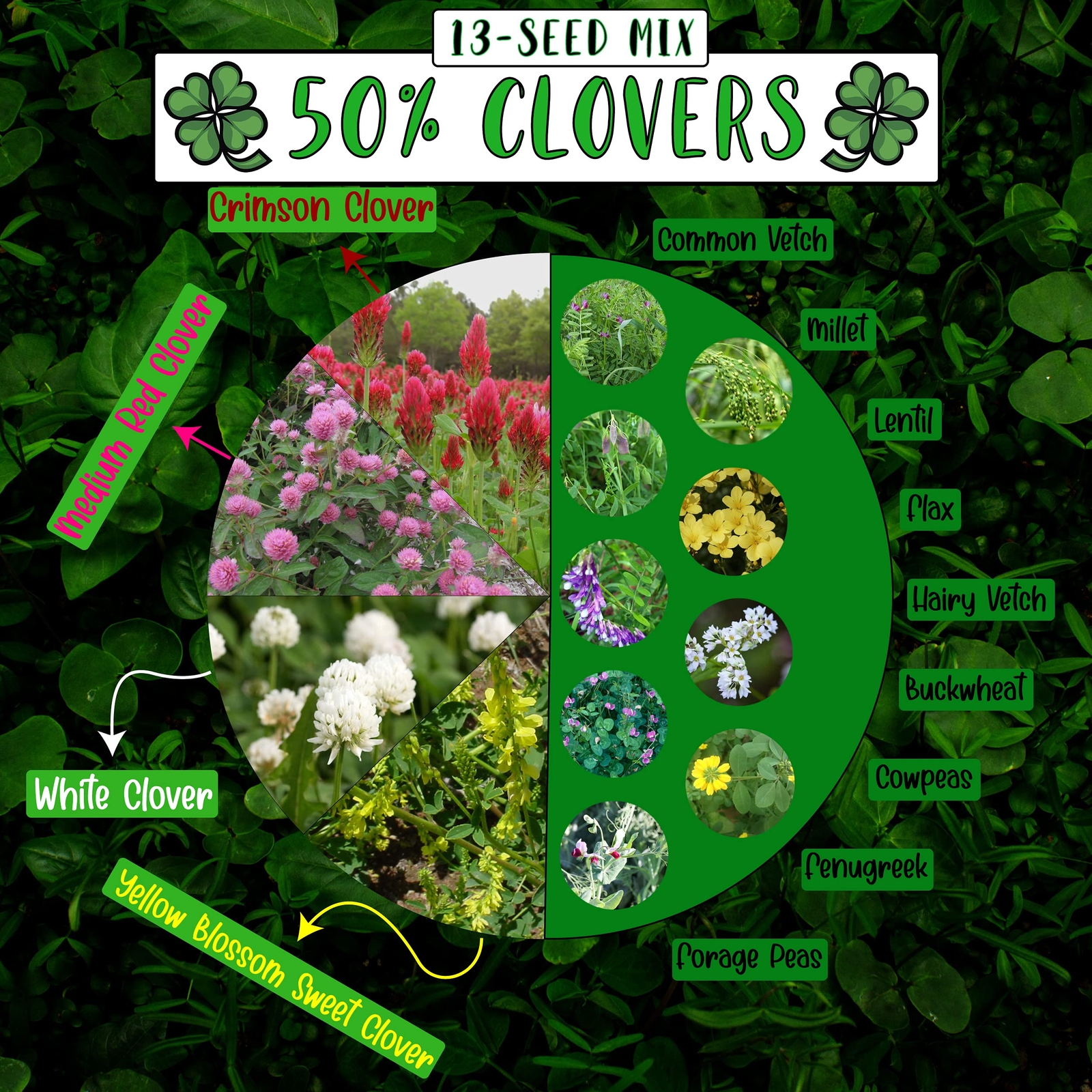Cover Crop 13-Seed Mix (1 lb. Bag): [50% Clovers Plus Fenugreek Vetch