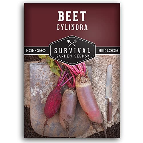 Cylindra Beet Seeds for Planting – Sweet Dark Red Beets with Long Cylindrical 1