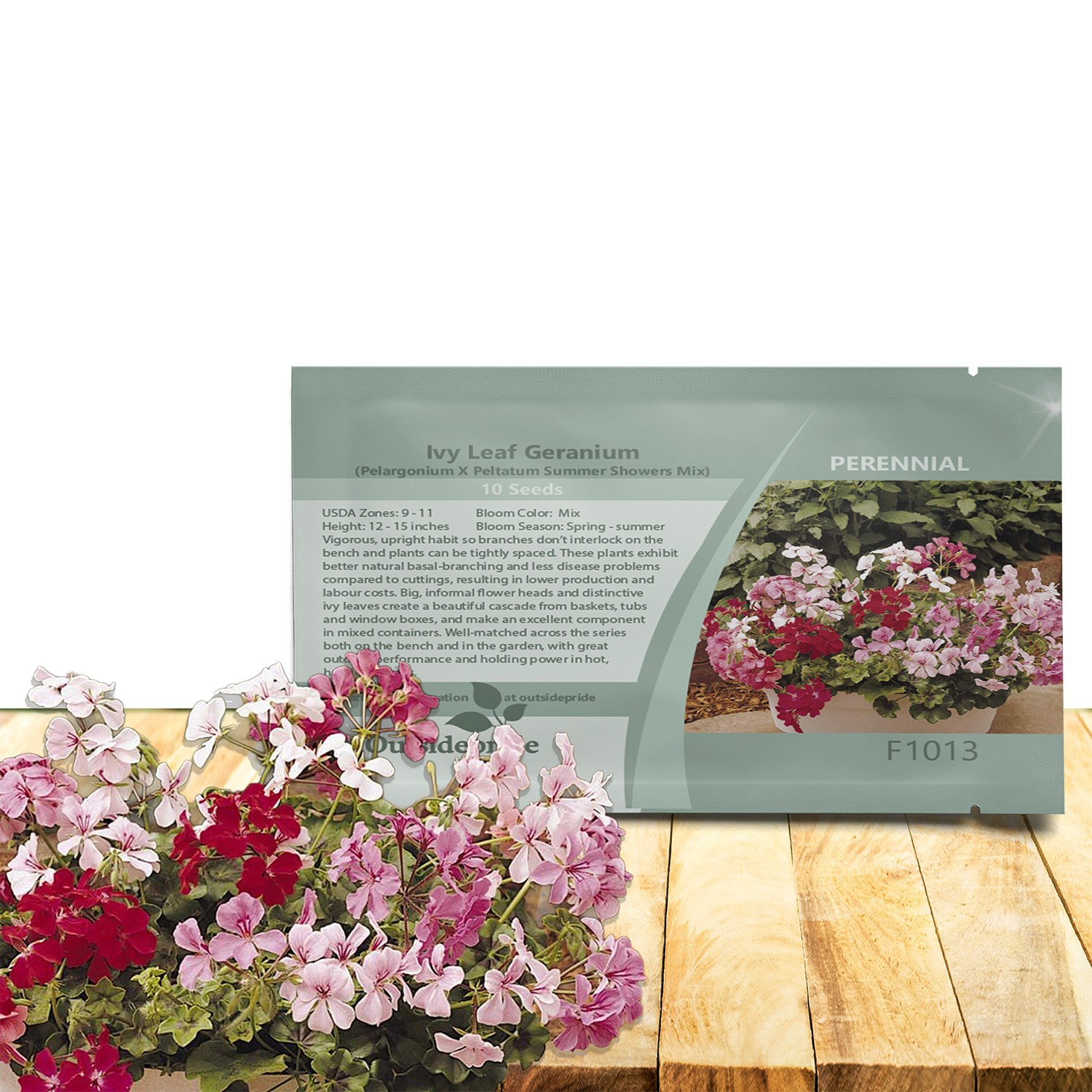 10 Seeds Flower Seed – Ivy Leaf Geranium Seeds Mix
