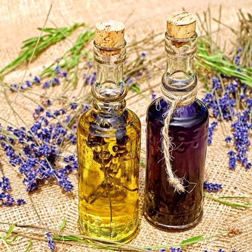 CarpetC 10000+ Lavender Seeds for Planting, Fragrant Perennial Herb Lavandula