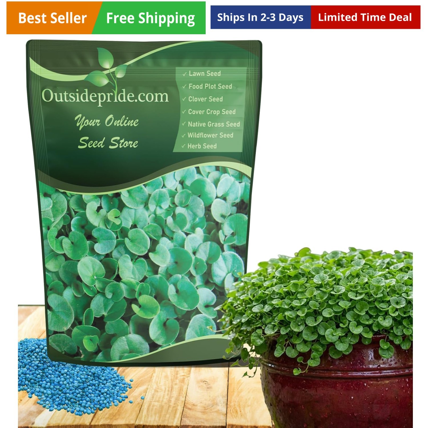 Perennial Dichondra Repens Seeds – 2 lbs Dense Green, Low-Maintenance Ground …