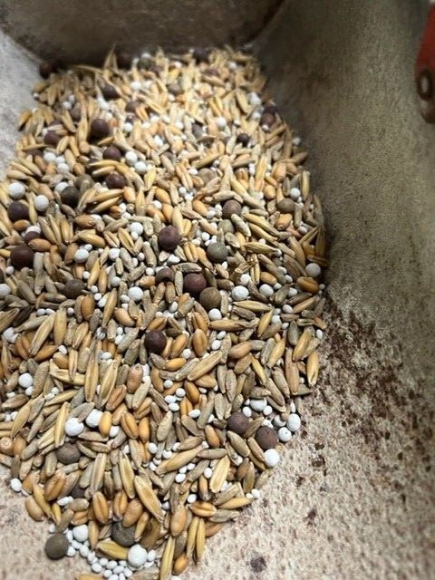 Our Custom Blend 10 Seed NO TILL Cover Crop Seed Mix Non GMO