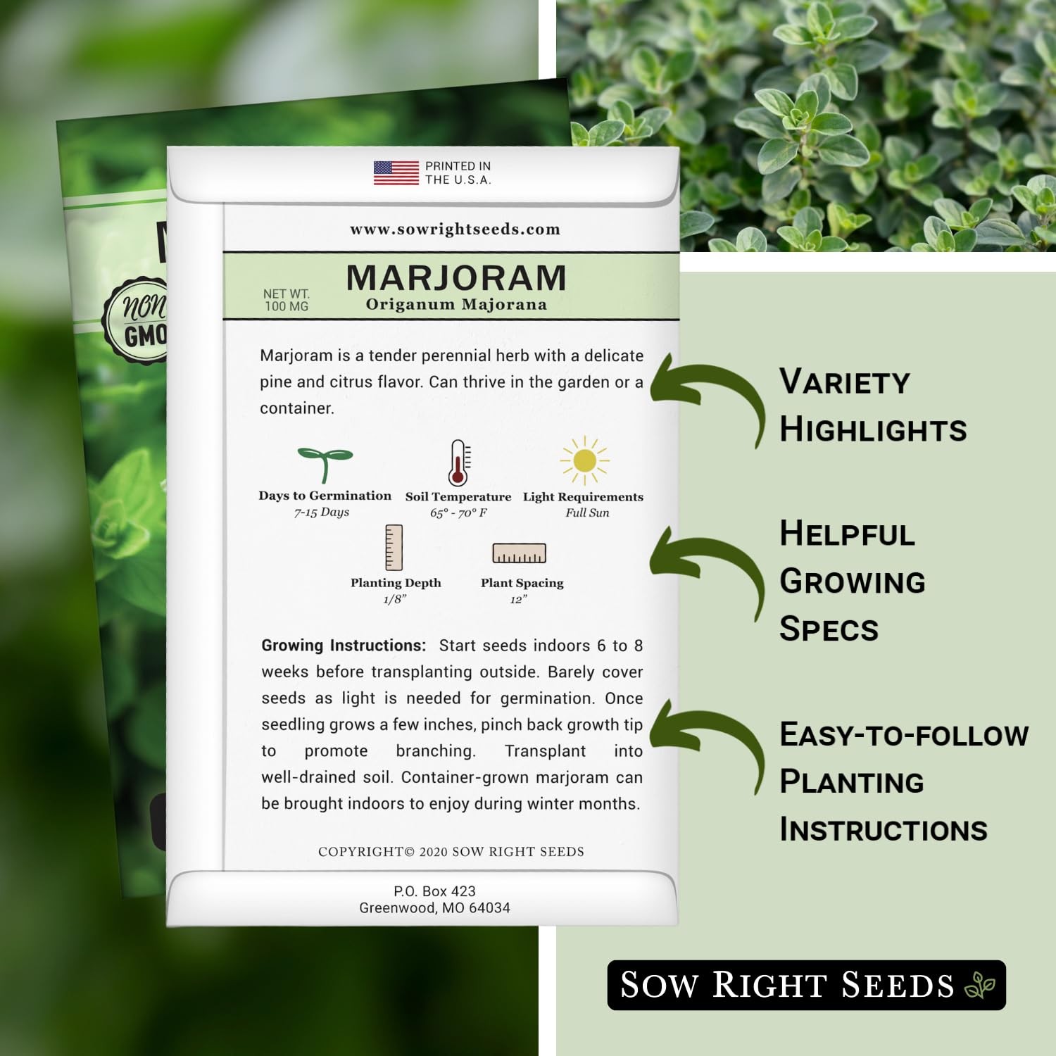 Marjoram Seeds – Non-GMO Heirloom for Indoor & Outdoor Herb Gardens