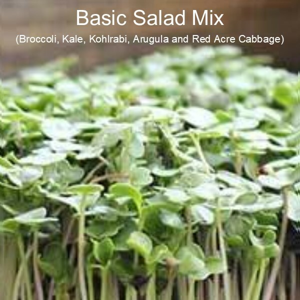 Microgreen Grow Kit – Basic Salad Mix