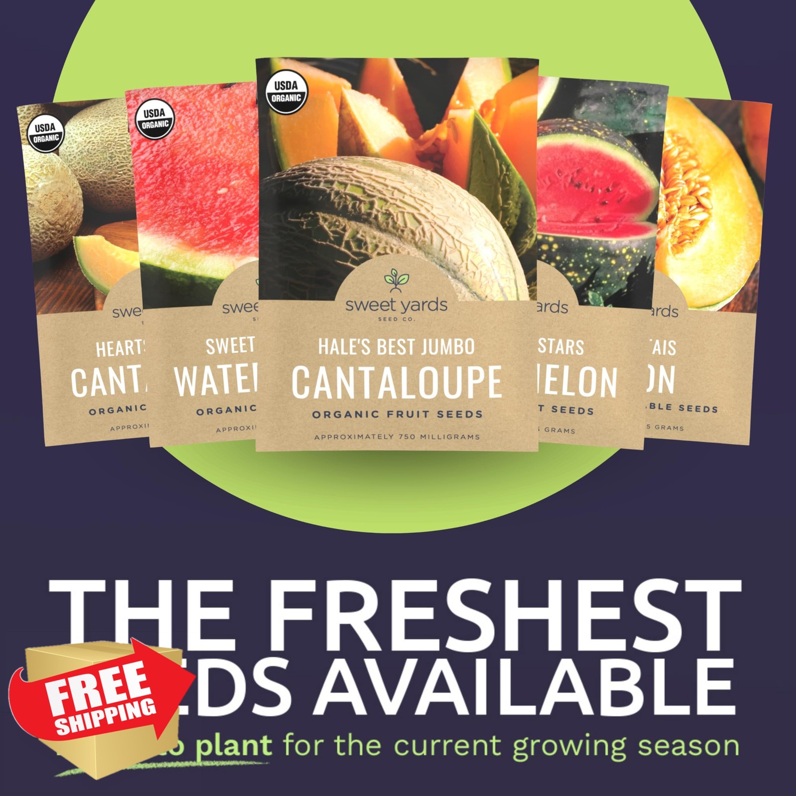Organic Melon Seeds Variety Pack 10 Packs 2026 Indoor Outdoor