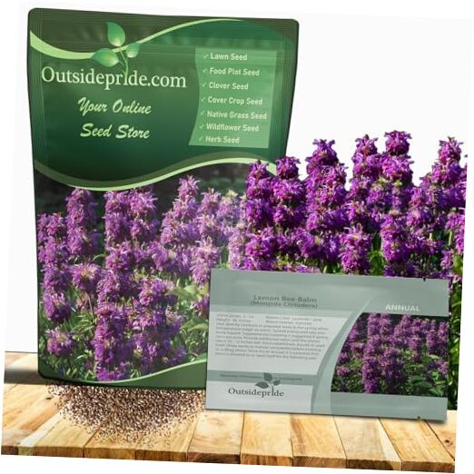 Lemon Bee Balm Seeds – 5000 Pcs Annual, Easy to Grow & Pollinator 5000 Seeds