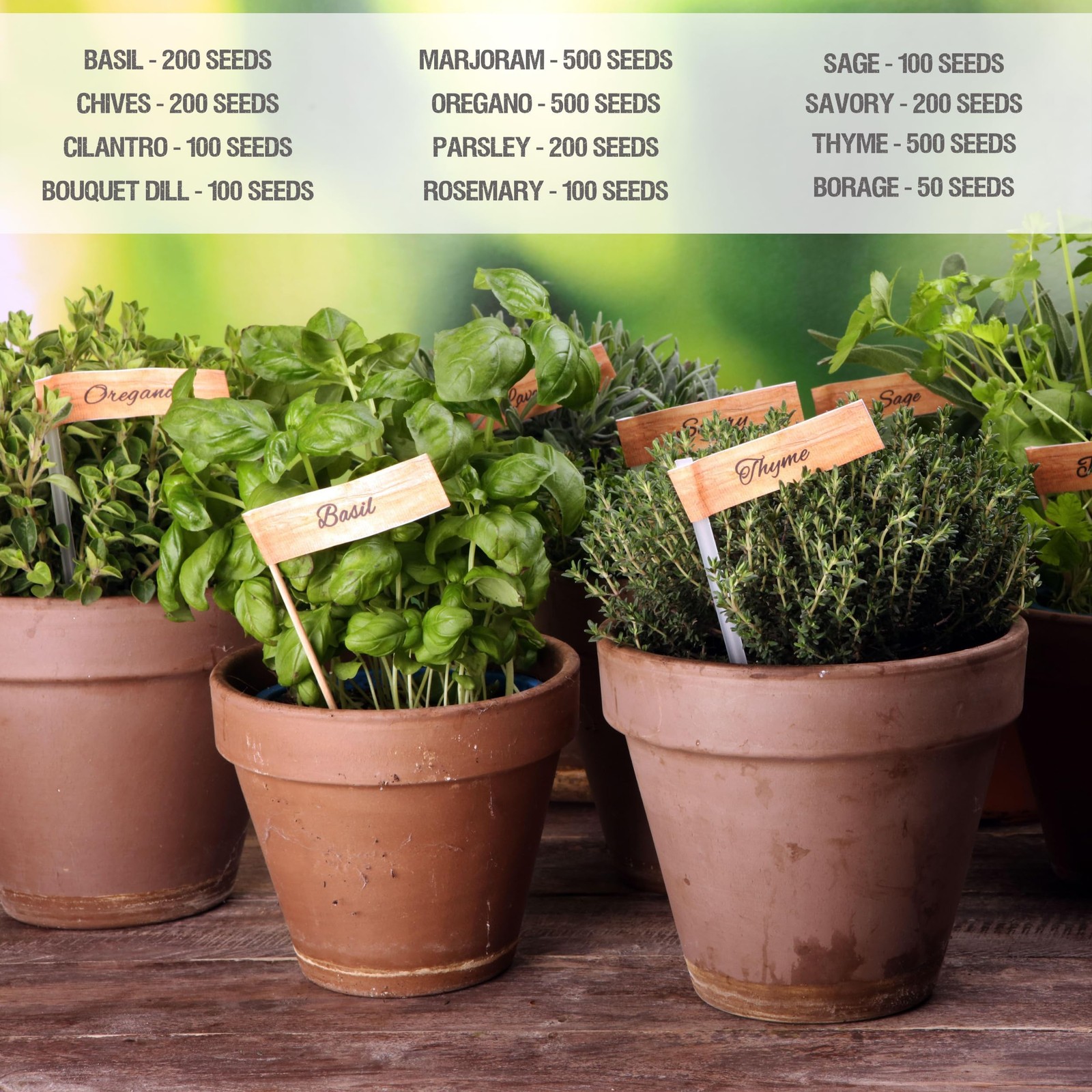 Herb Seeds Variety Pack Culinary Herb Collection (12 Individual Packets for P…